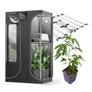 10% Off Sitewide