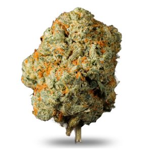 Orange Runtz THCA Flower – Preferred Ounce