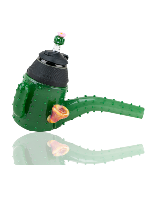 cactus sherlock