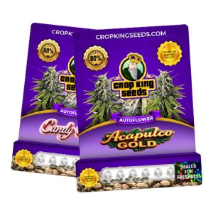 Buy 1 Get 1 Free – Autoflowering Seeds