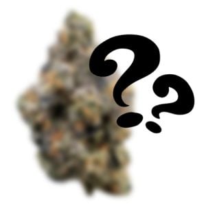 FREE Mystery Quartzer with Green Crack OZ