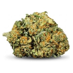 28g Sherbert THCA Flower – Essential