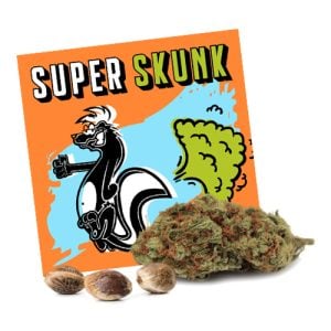 10 FREE Super Skunk Feminized Seeds