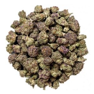 28g BOLO Runtz THCa Flower – Preferred Smalls