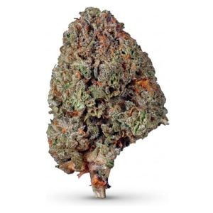 28g Mochi THCa Flower – Essential