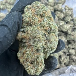 Buy 1 Get 1 FREE – Premium Biscotti THCa Flower